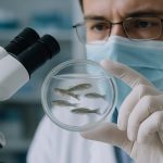 Zebrafish Drug Discovery Market 2025: Accelerating Breakthroughs & 18% CAGR Growth